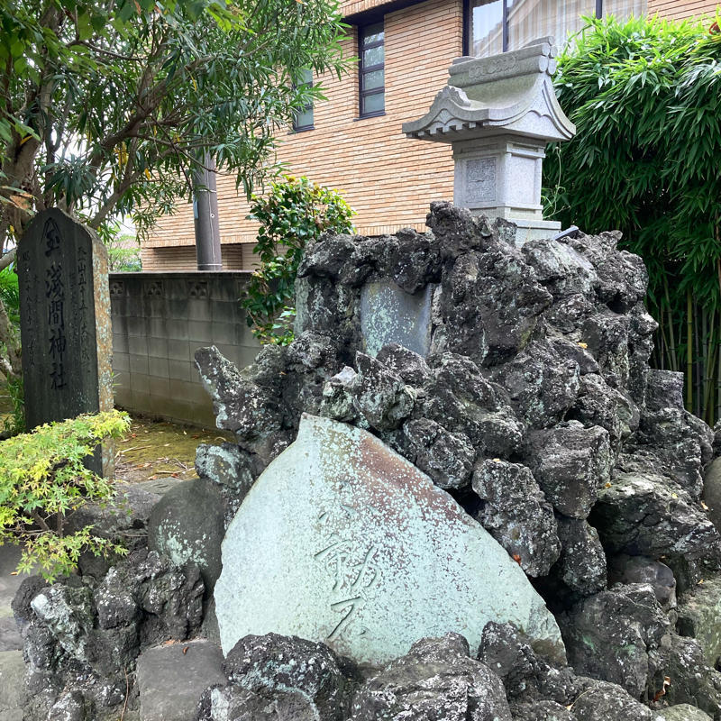 雷不動 真蔵院「雷富士」_c0060143_22224450.jpg