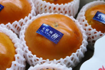 熊本県産!匠が育てた『太秋柿』プレミアム大好評販売中!大玉サイズの極、化粧箱入りも数量限定再入荷!_a0254656_18394033.jpg