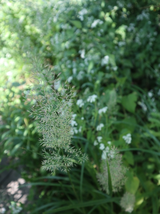 ヲタクと旅をする･････その６_b0331802_21280641.jpg