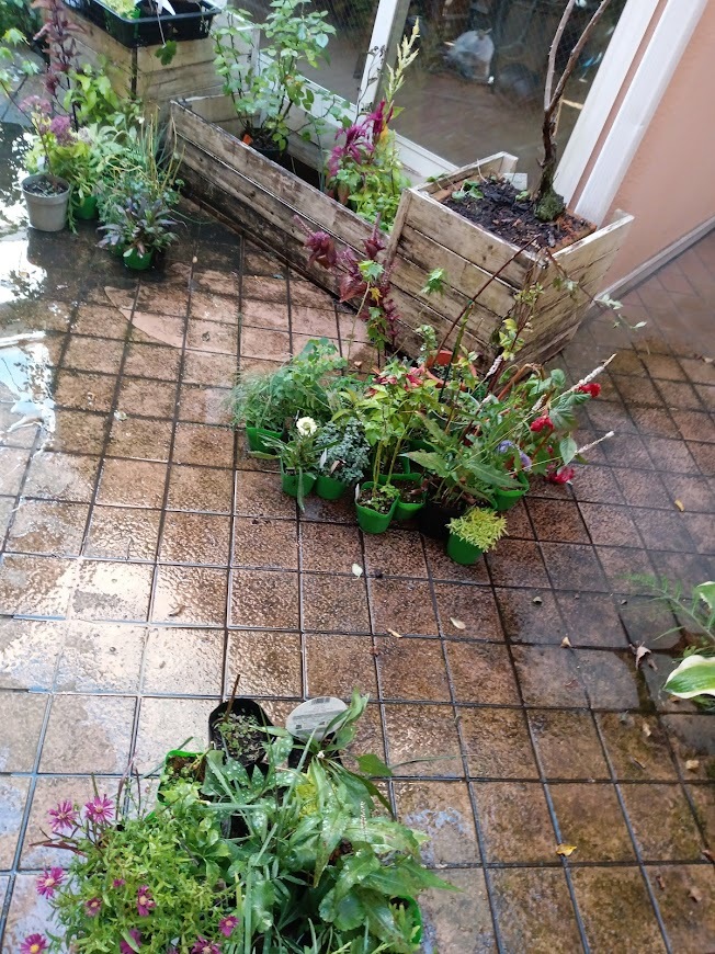 ヲタクと旅をする･････その６_b0331802_22143183.jpg