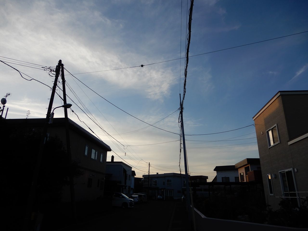 久しぶりの20℃越え_c0025115_20505169.jpg