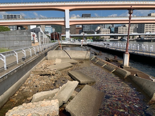 神戸遠征記~2日目~_b0000829_20322419.jpg