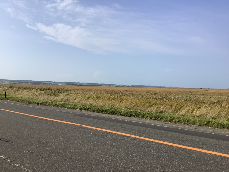 Tartaruga 輪行　北海道　キャンプ釣〜リング　道北　稚内編(リベンジ)_d0197762_11585730.jpeg