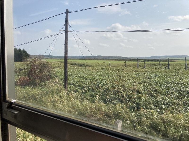 Tartaruga 輪行　北海道　キャンプ釣〜リング　道北　稚内編(リベンジ)_d0197762_13001288.jpeg