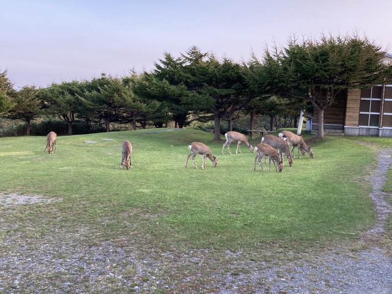 Tartaruga 輪行　北海道　キャンプ釣〜リング　道北　稚内編(リベンジ)_d0197762_14571942.jpeg