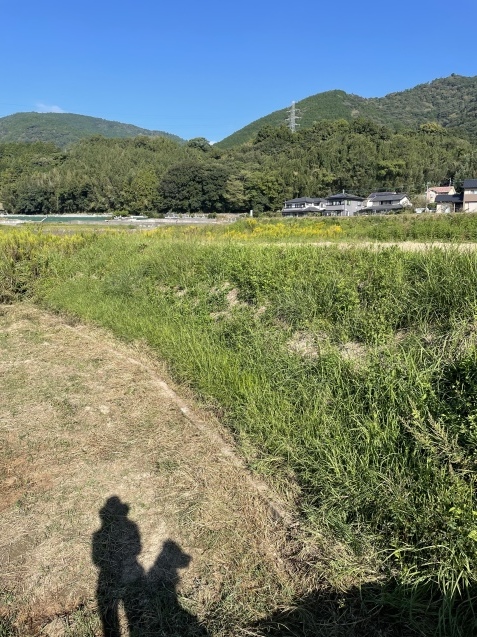 まったり午後の幸せ。_a0394574_13575658.jpeg