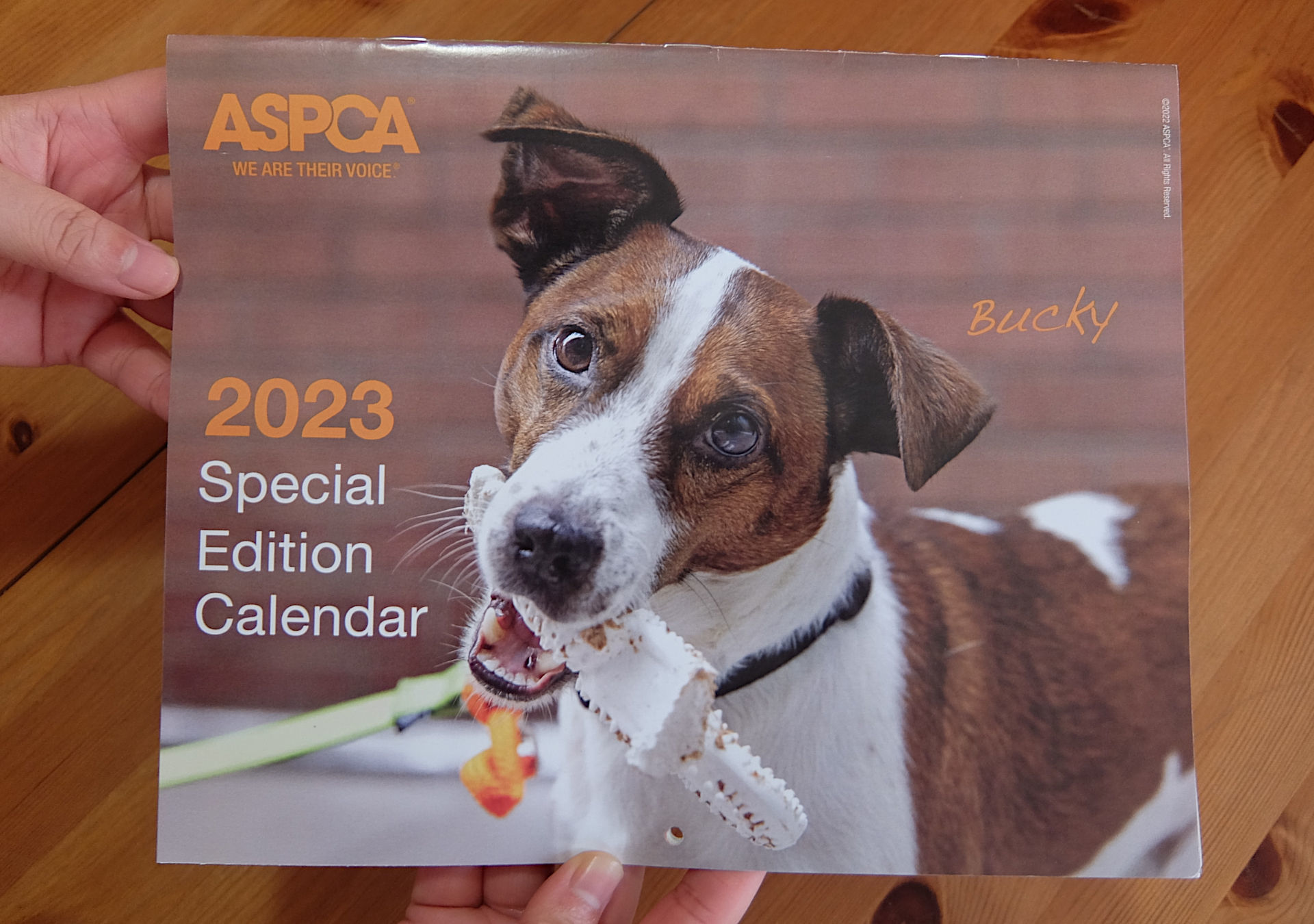 ニューヨークの動物愛護団体（ASPCA）から届いた動物カレンダー_b0007805_06250026.jpg