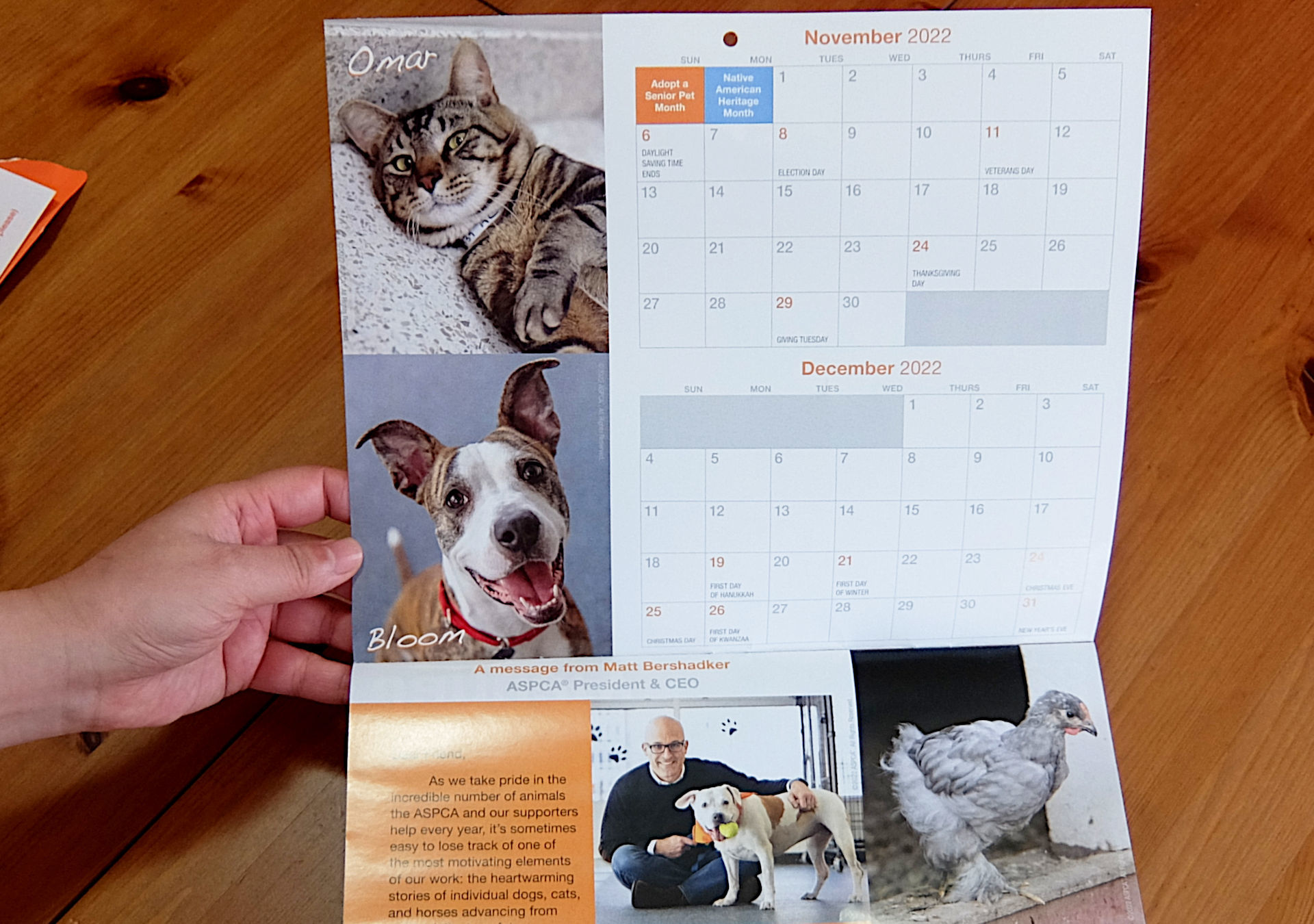 ニューヨークの動物愛護団体（ASPCA）から届いた動物カレンダー_b0007805_06265789.jpg