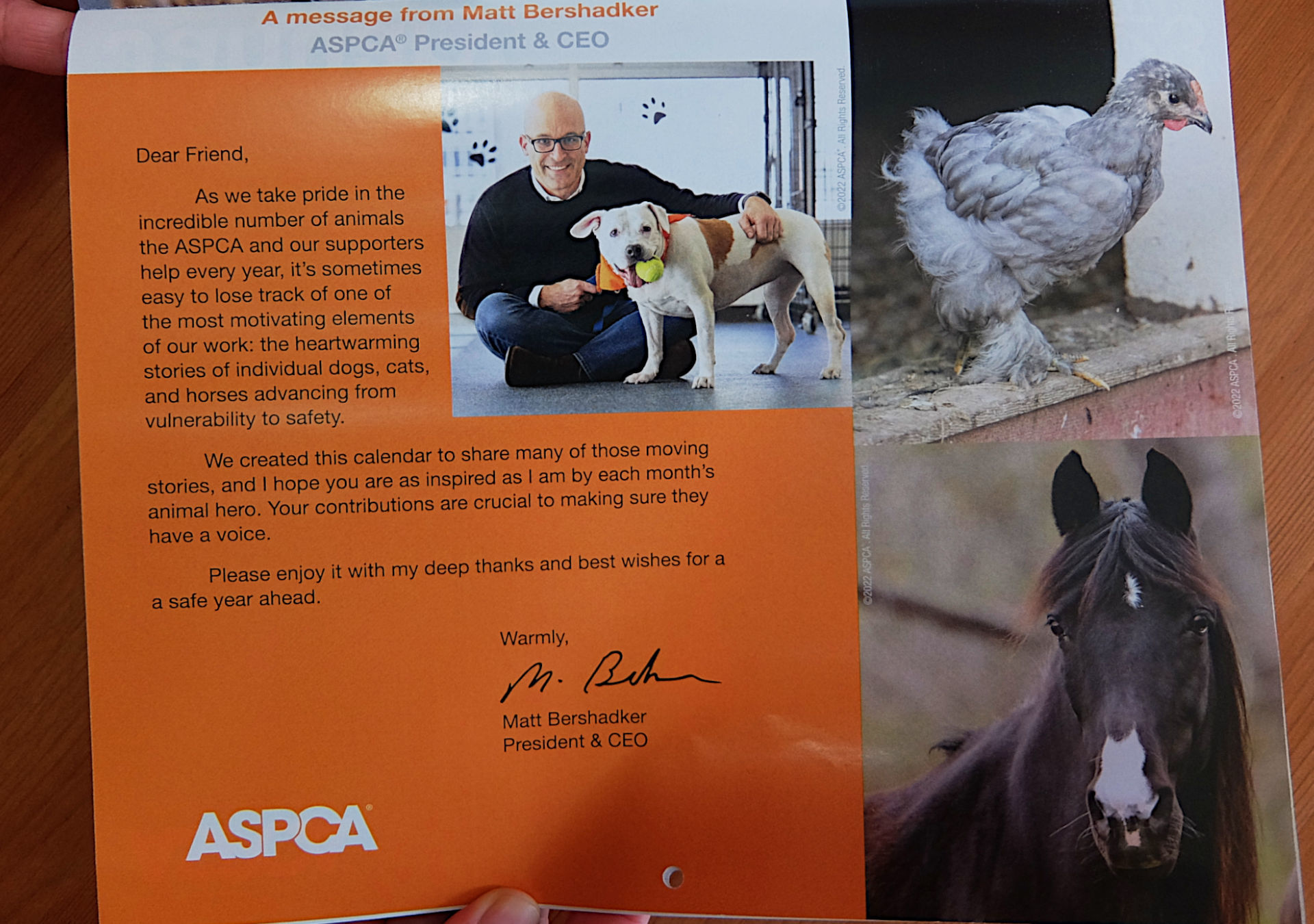 ニューヨークの動物愛護団体（ASPCA）から届いた動物カレンダー_b0007805_06271055.jpg