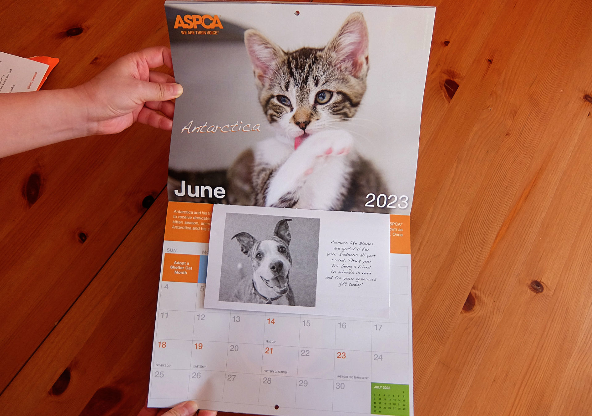 ニューヨークの動物愛護団体（ASPCA）から届いた動物カレンダー_b0007805_06280459.jpg