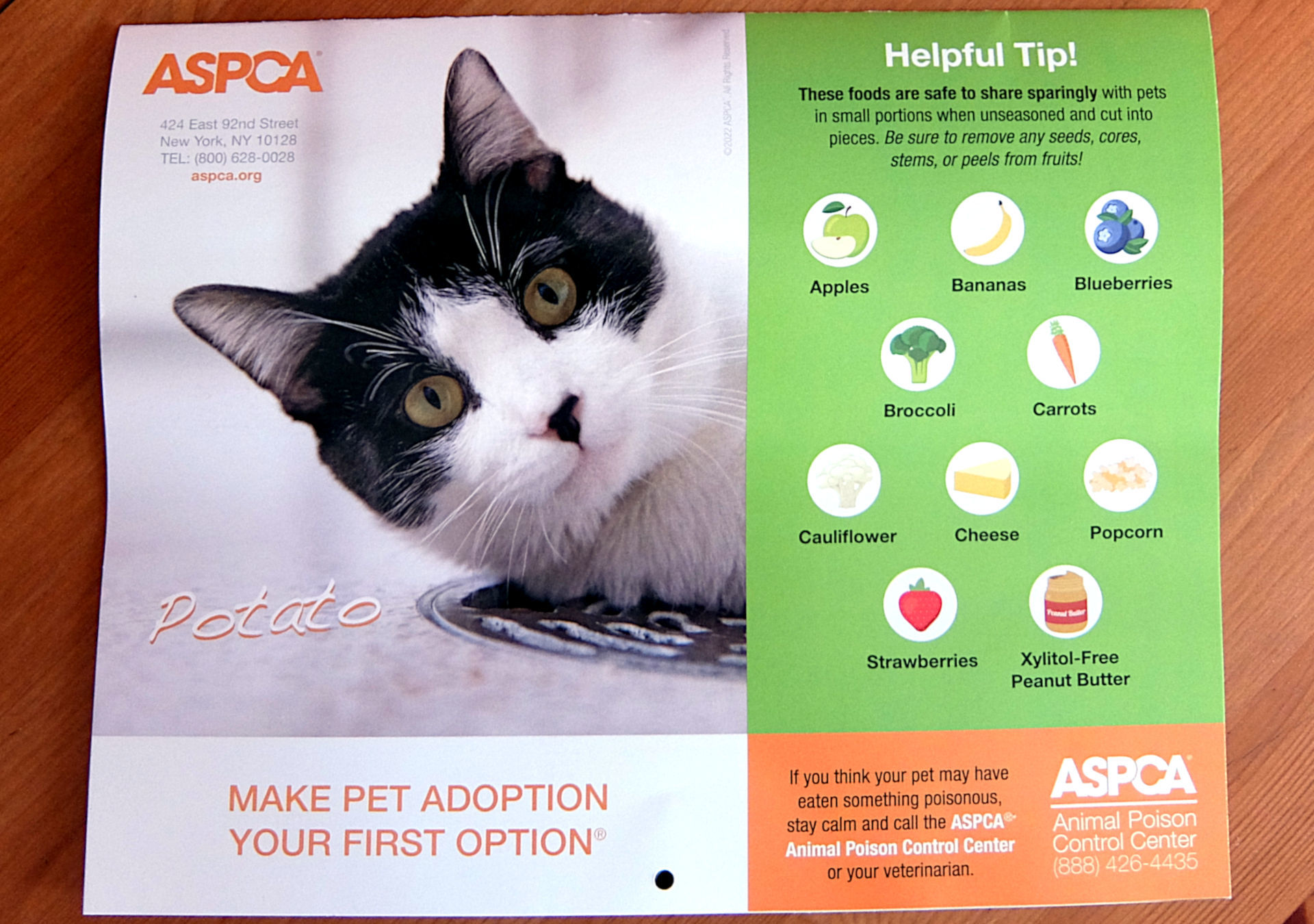 ニューヨークの動物愛護団体（ASPCA）から届いた動物カレンダー_b0007805_06283227.jpg