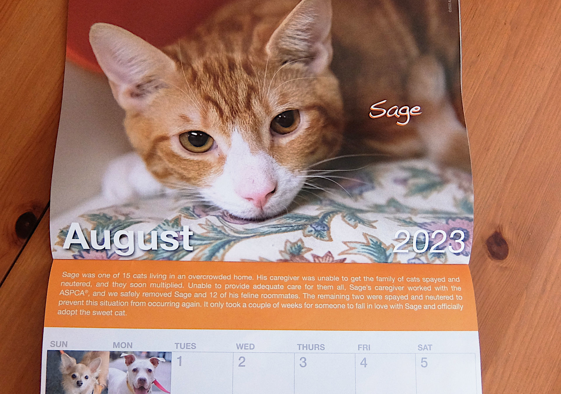 ニューヨークの動物愛護団体（ASPCA）から届いた動物カレンダー_b0007805_06313450.jpg