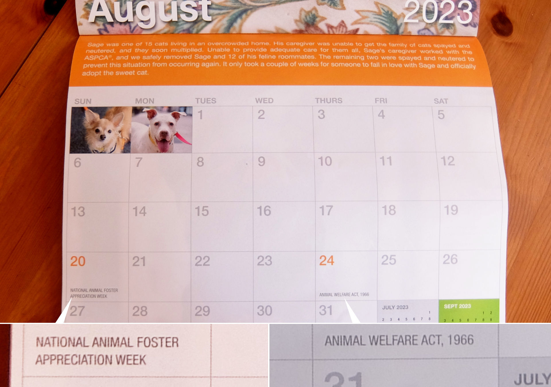 ニューヨークの動物愛護団体（ASPCA）から届いた動物カレンダー_b0007805_06501793.jpg