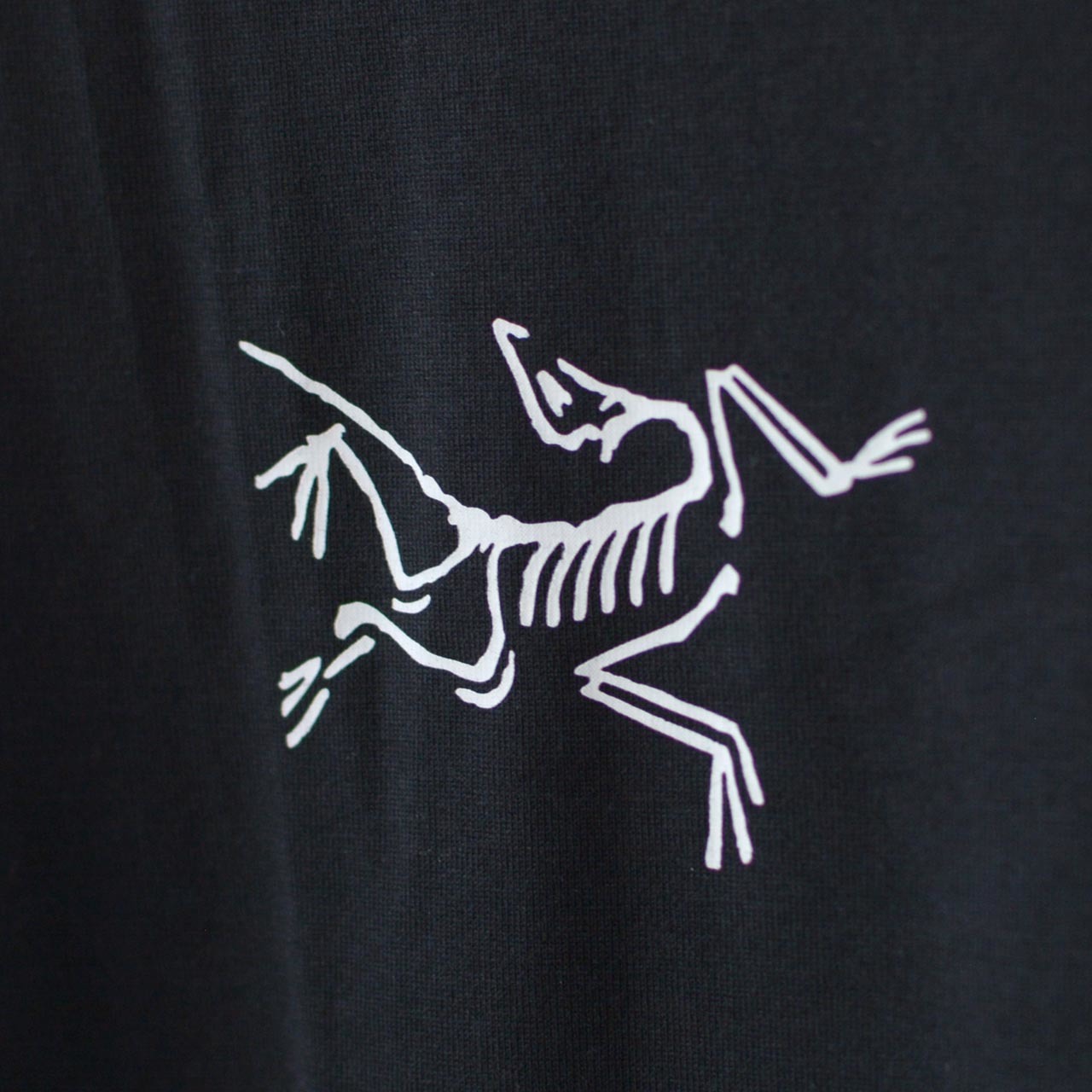 ARC\'TERYX [アークテリクス]  M Split SS T-Shirt [30379]_f0051306_17391842.jpg