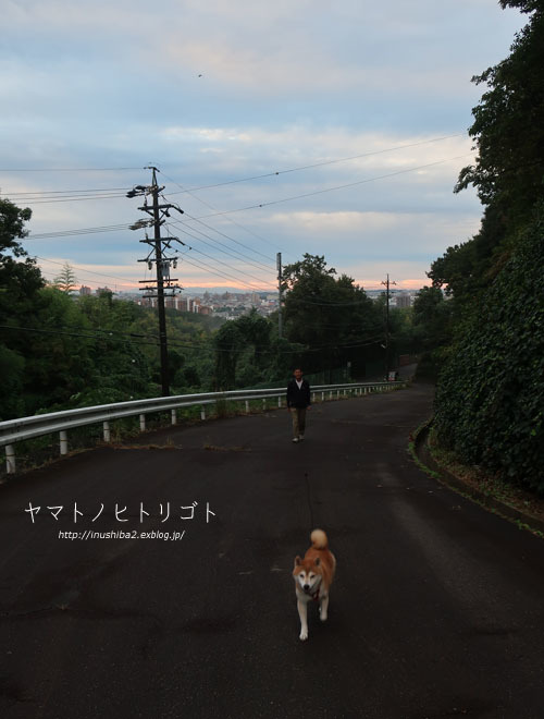 裏話と翌日_e0394031_06083804.jpg