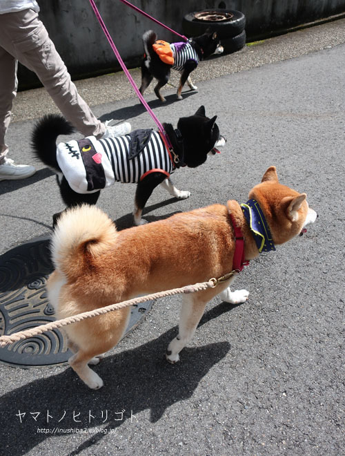 裏話と翌日_e0394031_06085218.jpg