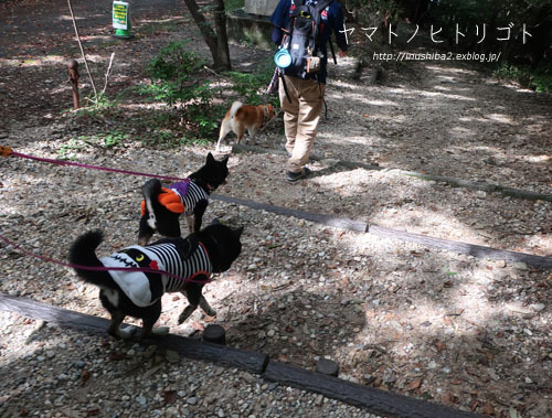 裏話と翌日_e0394031_06085420.jpg