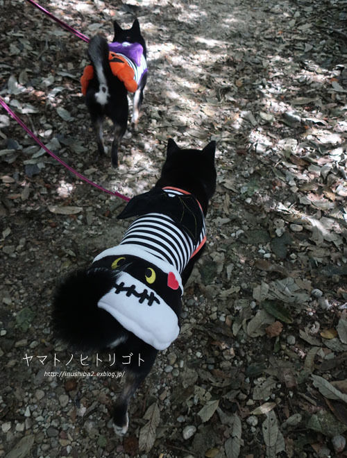 裏話と翌日_e0394031_06090229.jpg