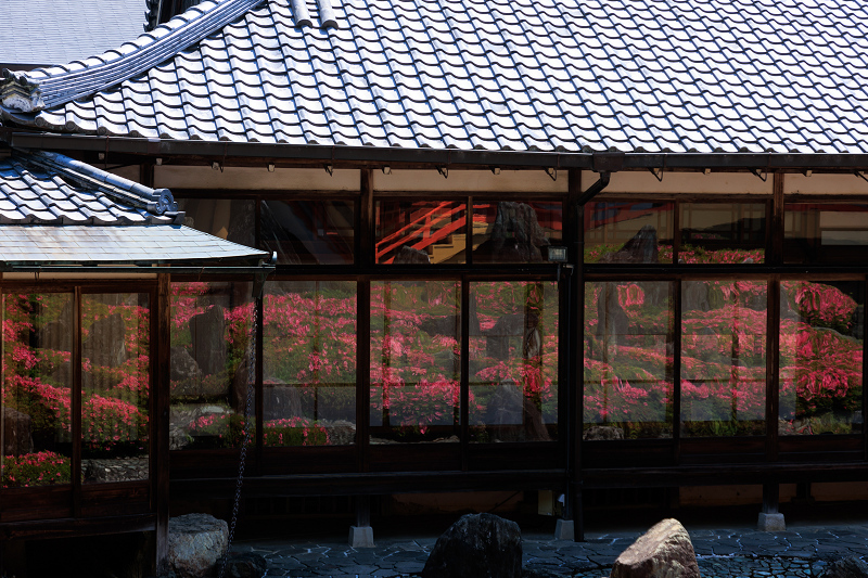 サツキ咲く頃（松尾大社）_f0155048_23493781.jpg