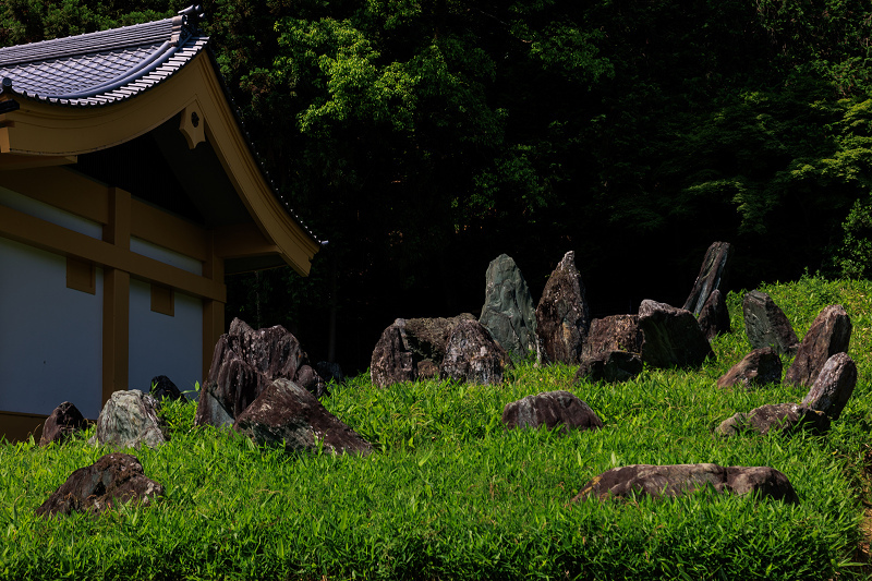 サツキ咲く頃（松尾大社）_f0155048_23495033.jpg
