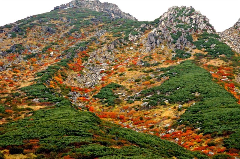 信州の紅葉をお送りします_b0115553_17123881.jpg