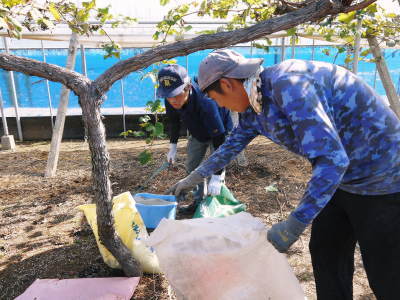 熊本ぶどう 社方園 収穫を終えたぶどう園にお礼肥え!今年は熊本県立農業大学から来た実習生と共に行っています!2022年(前編)_a0254656_18045833.jpg