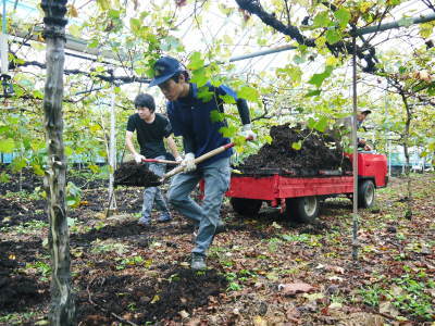 熊本ぶどう 社方園 収穫を終えたぶどう園にお礼肥え!今年は熊本県立農業大学から来た実習生と共に行っています!2022年(前編)_a0254656_18335630.jpg