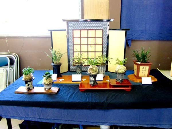 秋季展示会　　　　　　　　　　No.2229_d0103457_09384392.jpg