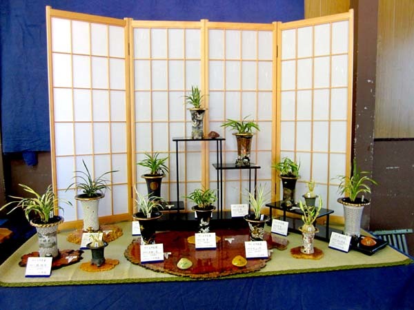 秋季展示会　　　　　　　　　　No.2229_d0103457_09385060.jpg