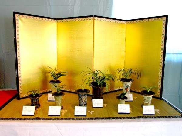 秋季展示会　　　　　　　　　　No.2229_d0103457_09385785.jpg
