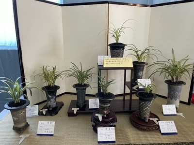 秋季展示会　　　　　　　　　　No.2229_d0103457_09524918.jpg