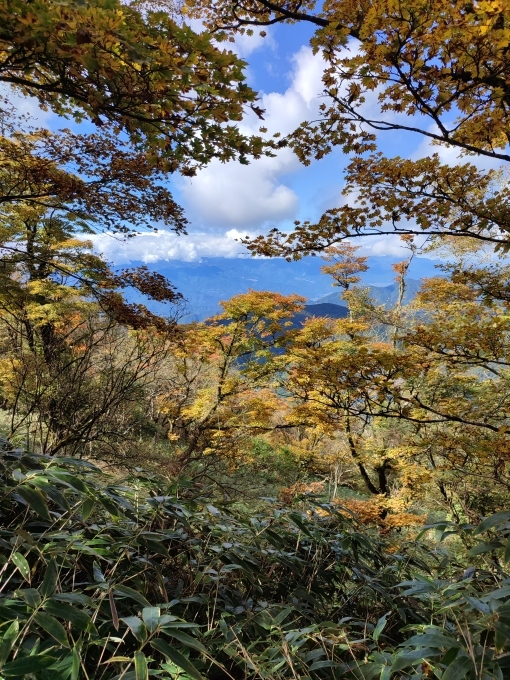 竜ヶ岳（山梨県本栖湖）_d0049066_20170145.jpg