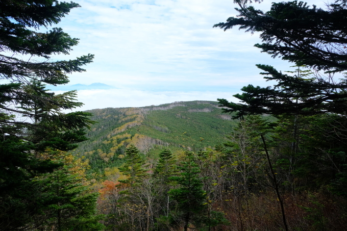 一人登山 北八ヶ岳 蓼科山_e0000910_11413880.jpg