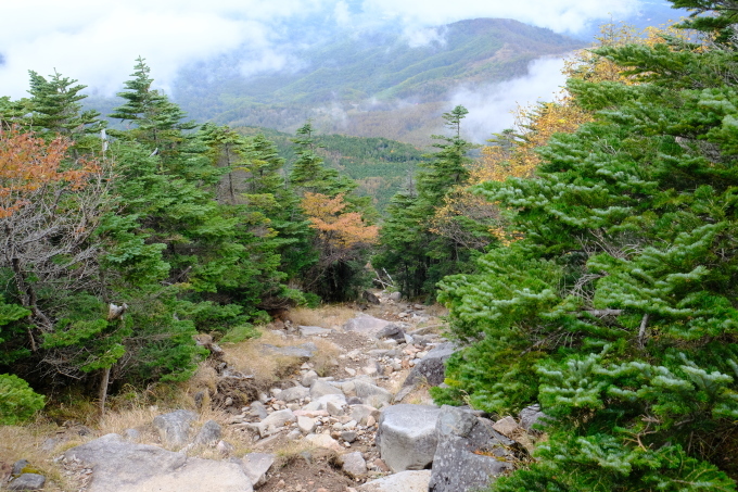 一人登山 北八ヶ岳 蓼科山_e0000910_11570966.jpg