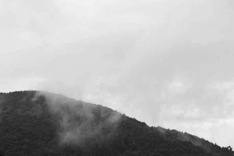 ちょうど雨_b0220318_16331031.jpg