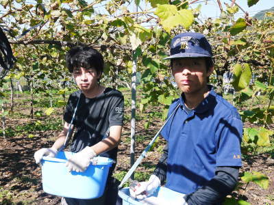 熊本ぶどう 社方園 収穫を終えたぶどう園にお礼肥え!今年は熊本県立農業大学から来た実習生と共に行っています!2022年(後編)_a0254656_16550229.jpg