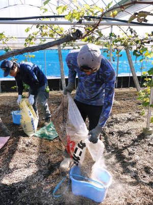 熊本ぶどう 社方園 収穫を終えたぶどう園にお礼肥え!今年は熊本県立農業大学から来た実習生と共に行っています!2022年(後編)_a0254656_17381498.jpg