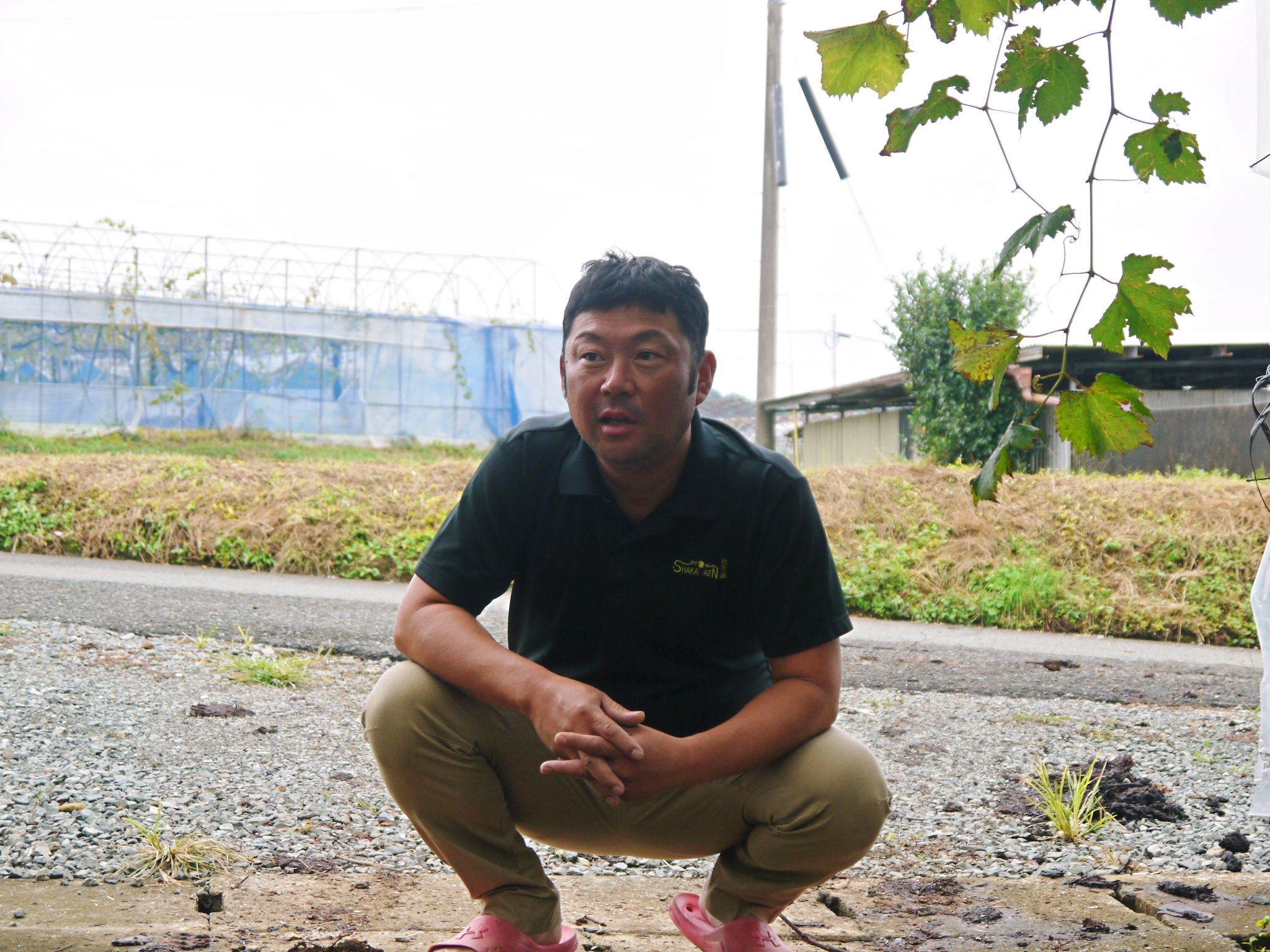 熊本ぶどう 社方園 収穫を終えたぶどう園にお礼肥え!今年は熊本県立農業大学から来た実習生と共に行っています!2022年(後編)_a0254656_18261349.jpg