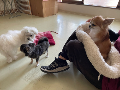 こんにちは🙌_f0357682_19012031.jpg