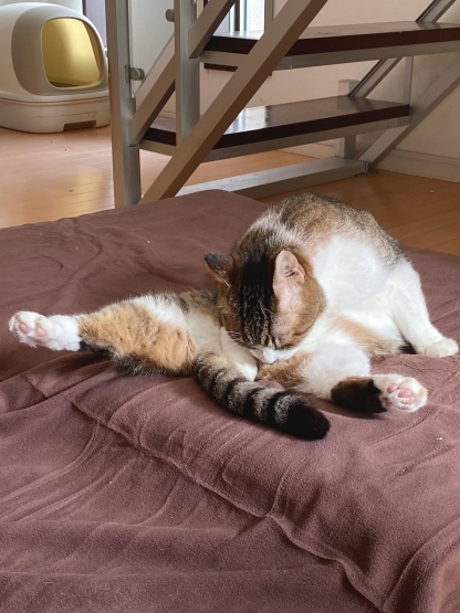 こころのお父さん_a0389088_14441555.jpeg