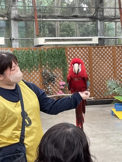 久々の投稿_b0229801_22381849.jpeg