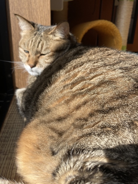 訪問マッサージ スタート_b0412708_09253829.jpeg