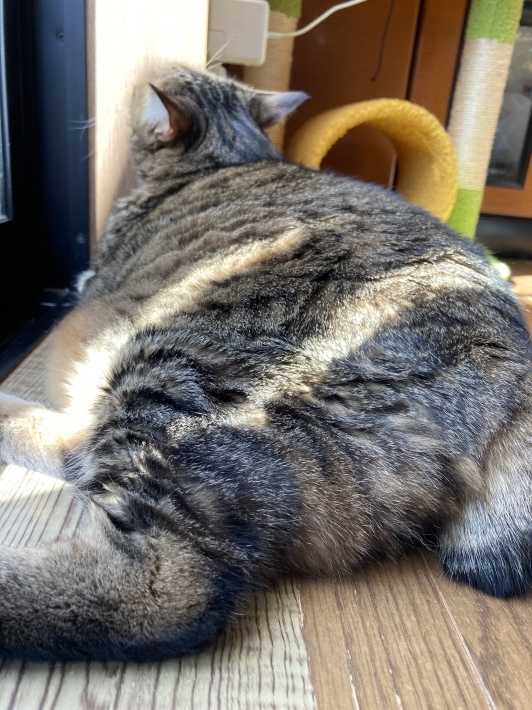 訪問マッサージ スタート_b0412708_09255540.jpeg