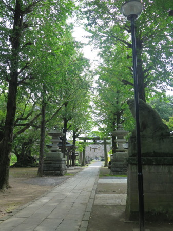 福雷橋と金村別雷（わけいかづち）神社_e0056135_23201301.jpg