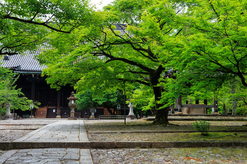 あいわ活土 花咲く故郷11月 染まる里 茶額 版画 風景画 あいわ活土 花咲く故郷11月 染まる里 茶額 版画 風景画 あいわ活
