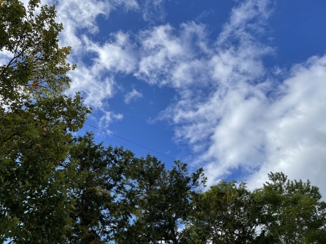 ベン君。_a0394574_20280609.jpeg