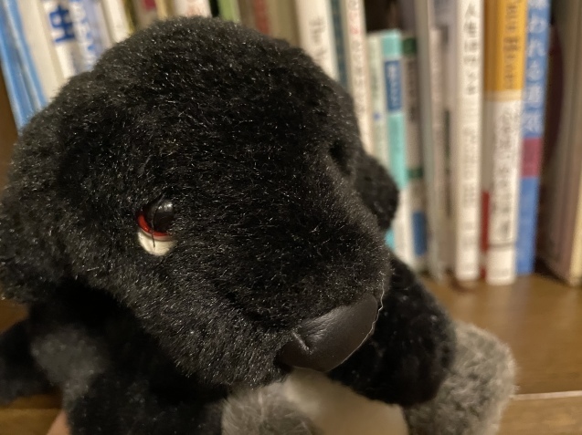 ベン君。_a0394574_20521075.jpeg