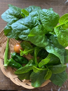 最後に近い収穫と今日のおやつ_e0233190_17453057.jpg