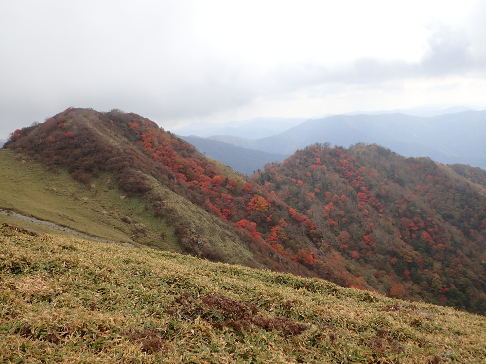 紅葉に色づく山稜を歩く&撮る 四国『天狗塚とその周辺』 二日目 撮影班_c0218841_13572819.jpg
