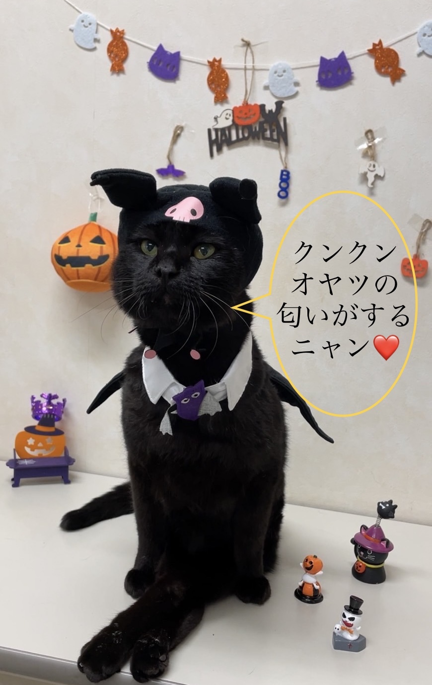 &#129415;HAPPY　HALLOWEEN&#129415;_b0059154_12243986.jpeg